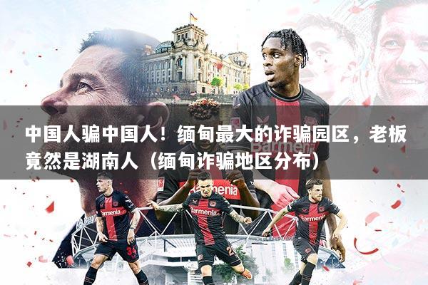 中国人骗中国人！缅甸最大的诈骗园区，老板竟然是湖南人（缅甸诈骗地区分布）