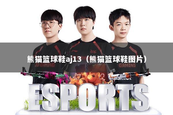 熊猫篮球鞋aj13（熊猫篮球鞋图片）