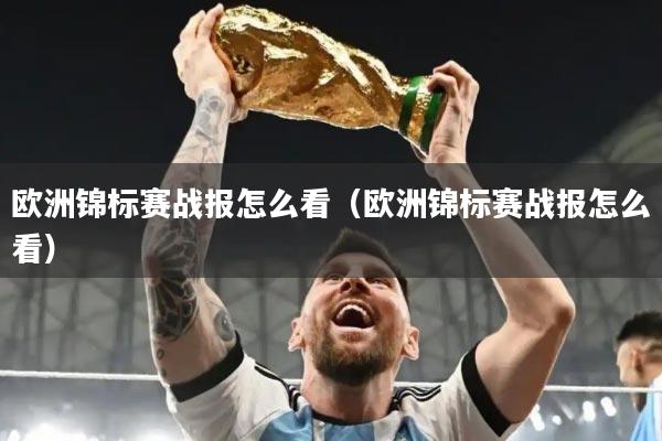 欧洲锦标赛战报怎么看(欧洲锦标赛战报怎么看)