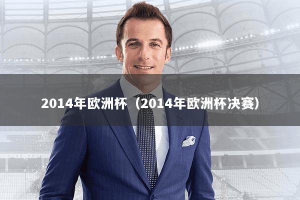 2014年欧洲杯（2014年欧洲杯决赛）
