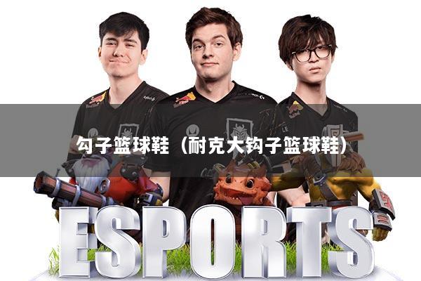 勾子篮球鞋（耐克大钩子篮球鞋）