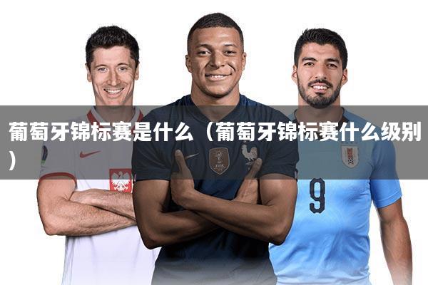 葡萄牙锦标赛是什么（葡萄牙锦标赛什么级别）