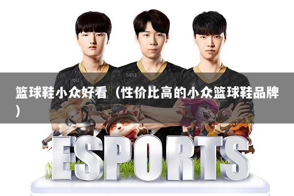 篮球鞋小众好看（性价比高的小众篮球鞋品牌）