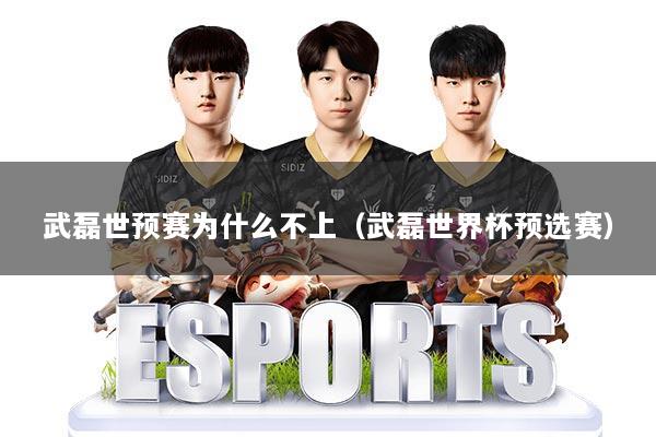 武磊世预赛为什么不上（武磊世界杯预选赛）