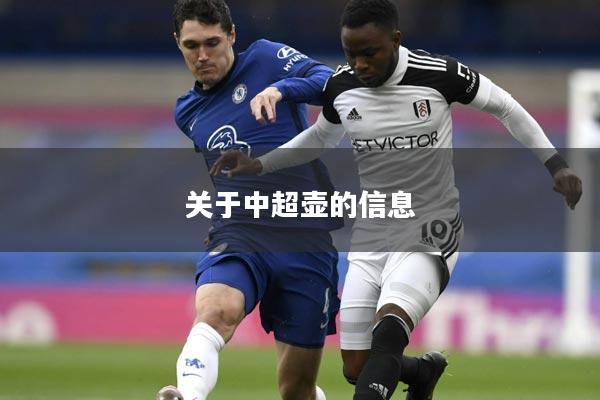 关于中超壶的信息