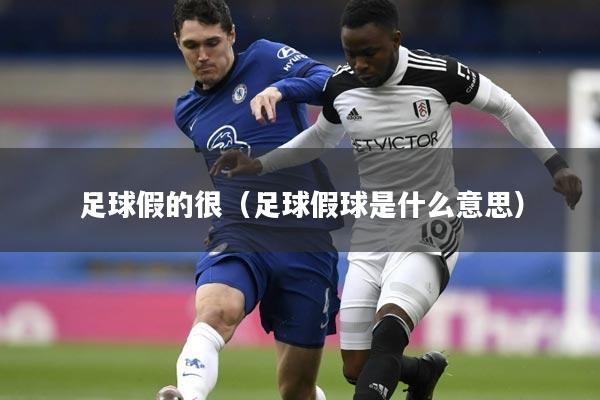 足球假的很(足球假球是什么意思)