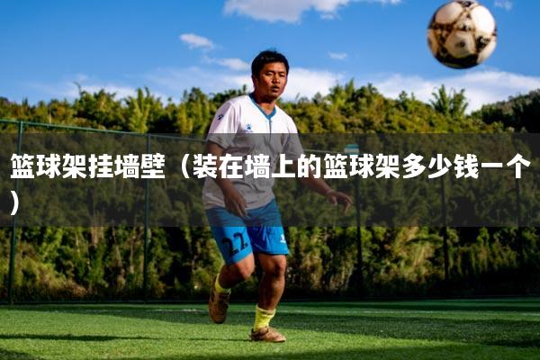 篮球架挂墙壁（装在墙上的篮球架多少钱一个）