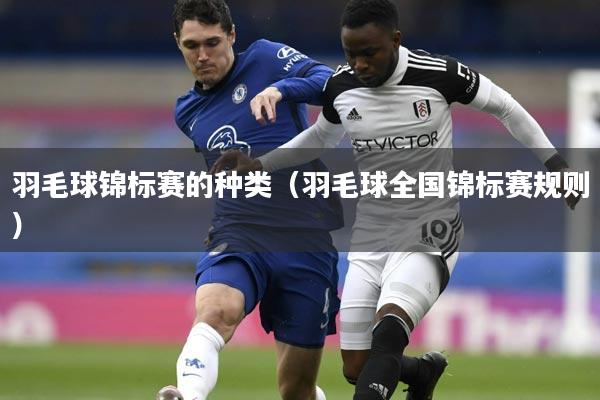 羽毛球锦标赛的种类（羽毛球全国锦标赛规则）