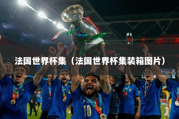 法国世界杯集(法国世界杯集装箱图片)