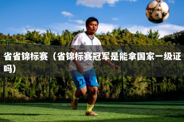 省省锦标赛(省锦标赛冠军是能拿国家一级证吗)