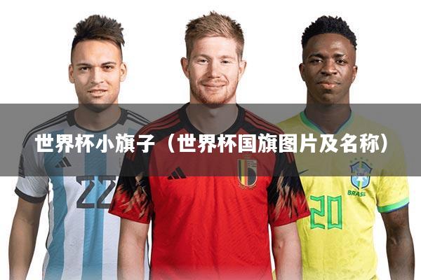 世界杯小旗子(世界杯国旗图片及名称)