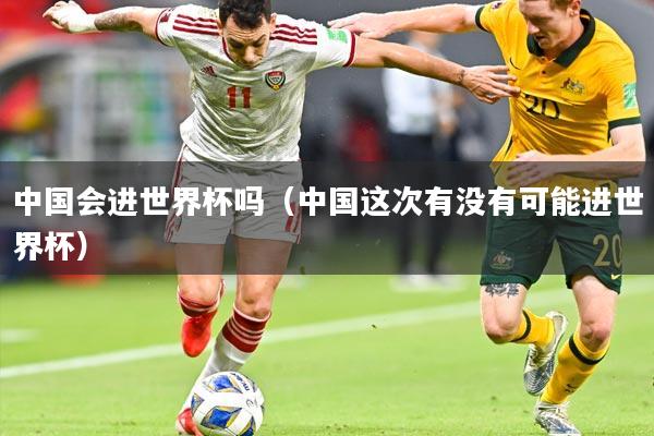中国会进世界杯吗(中国这次有没有可能进世界杯)