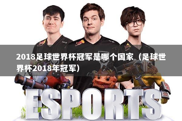2018足球世界杯冠军是哪个国家（足球世界杯2018年冠军）