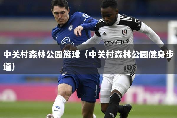 中关村森林公园篮球（中关村森林公园健身步道）