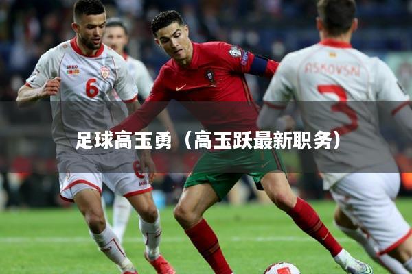 足球高玉勇（高玉跃最新职务）