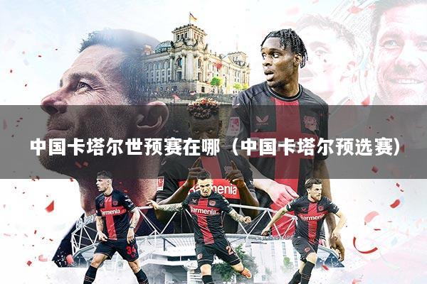 中国卡塔尔世预赛在哪（中国卡塔尔预选赛）