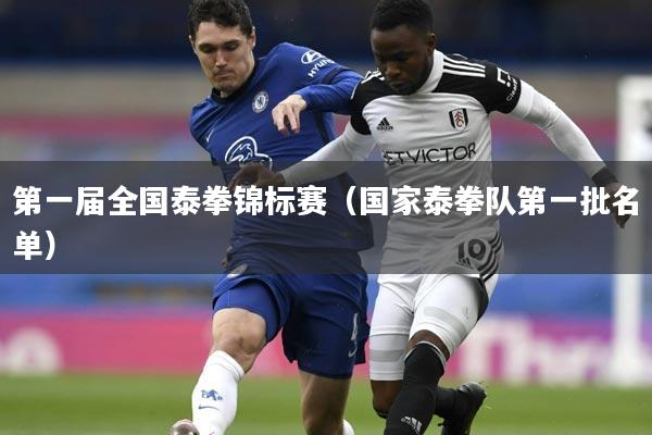 第一届全国泰拳锦标赛（国家泰拳队第一批名单）