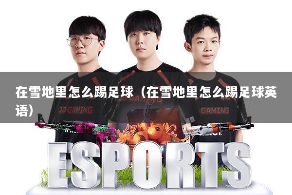 在雪地里怎么踢足球（在雪地里怎么踢足球英语）