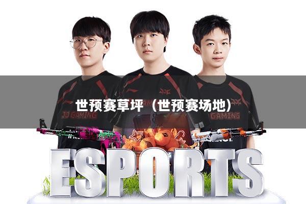 世预赛草坪（世预赛场地）