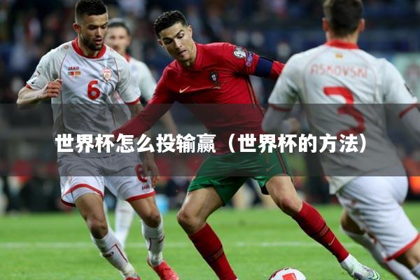 详细阅读:世界杯怎么投输赢(世界杯的方法) 世界杯怎么投输赢(世界杯的方法)