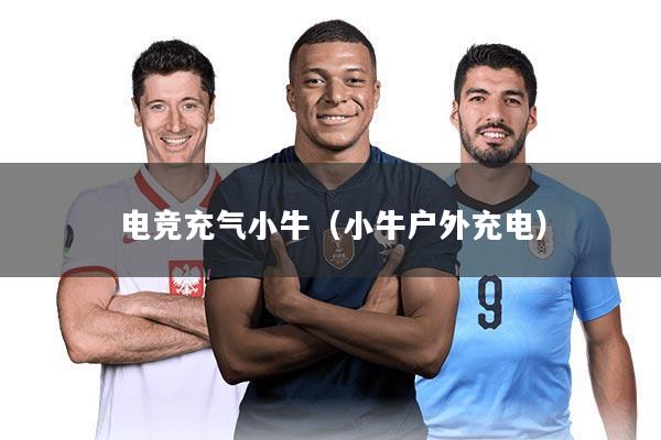 电竞充气小牛（小牛户外充电）