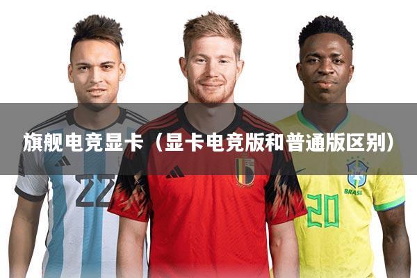 旗舰电竞显卡（显卡电竞版和普通版区别）
