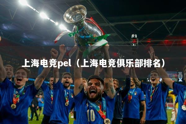 上海电竞pel（上海电竞俱乐部排名）