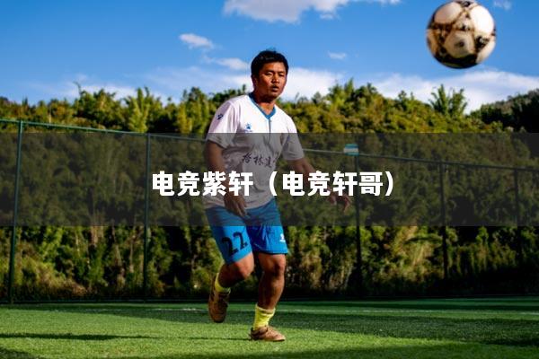 电竞紫轩（电竞轩哥）