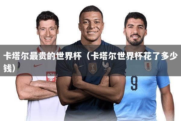 卡塔尔最贵的世界杯（卡塔尔世界杯花了多少钱）