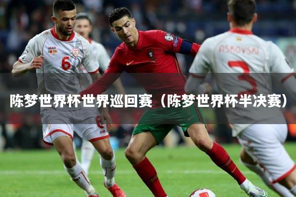 陈梦世界杯世界巡回赛（陈梦世界杯半决赛）