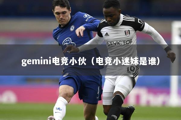 gemini电竞小伙（电竞小迷妹是谁）