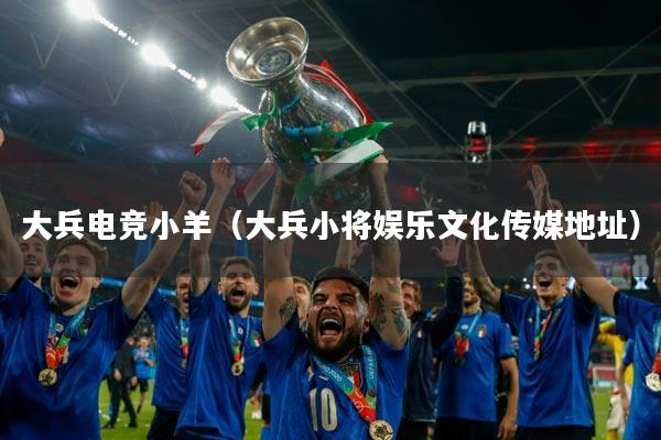 大兵电竞小羊（大兵小将娱乐文化传媒地址）
