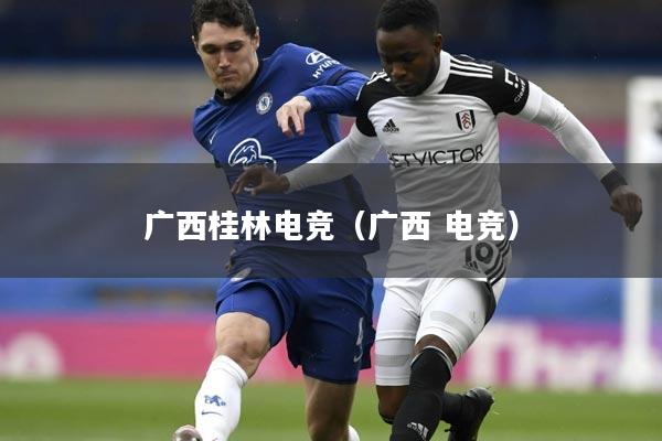 广西桂林电竞（广西 电竞）