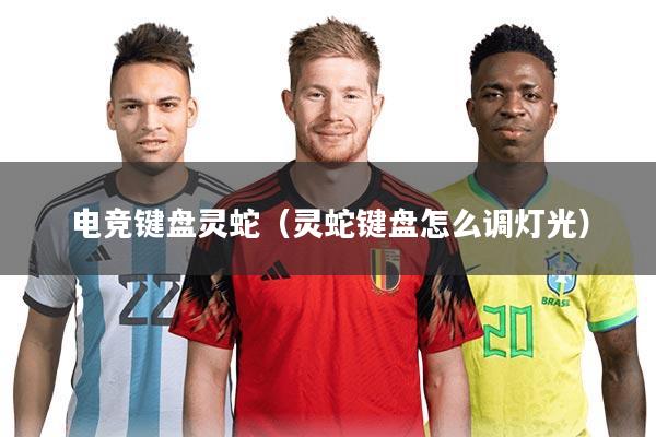 电竞键盘灵蛇（灵蛇键盘怎么调灯光）