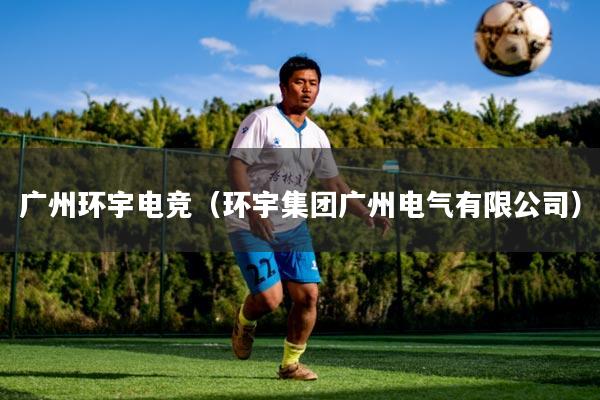 广州环宇电竞（环宇集团广州电气有限公司）