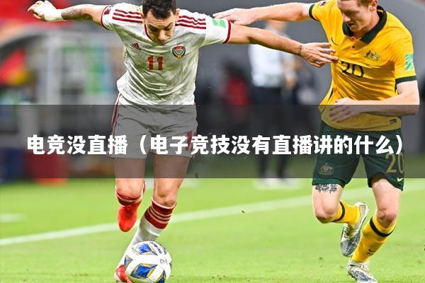 电竞没直播（电子竞技没有直播讲的什么）